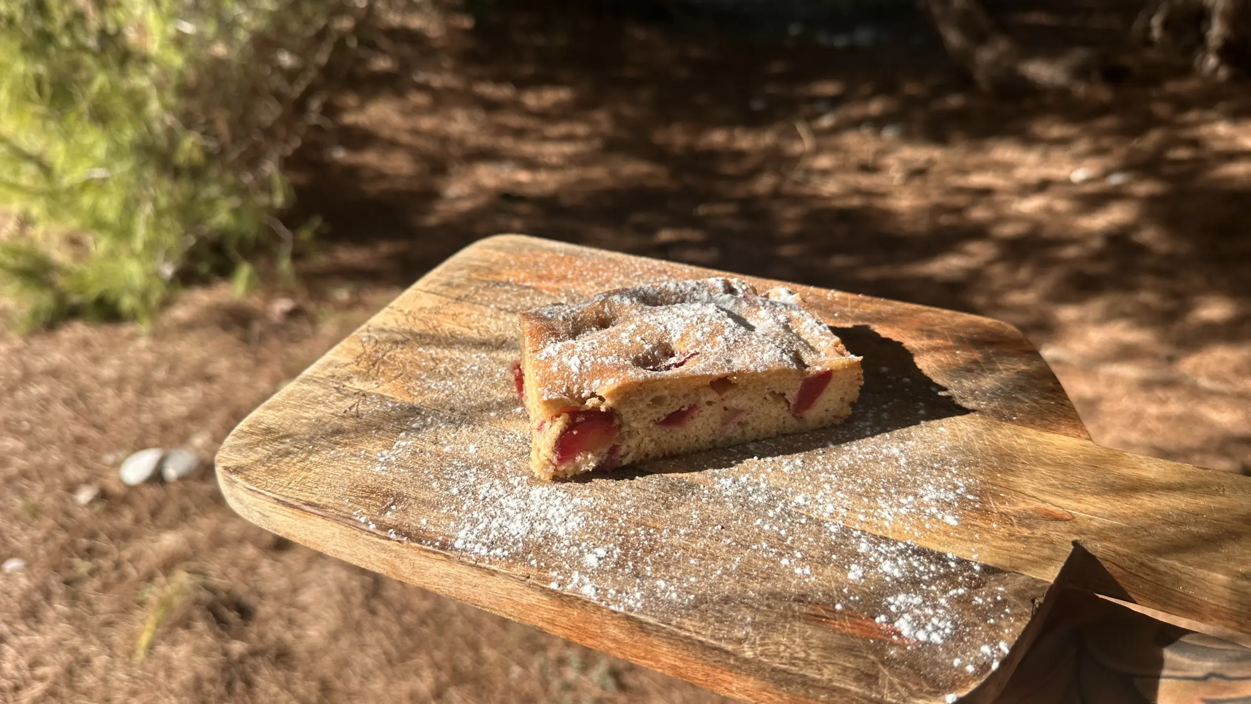 Einfacher Pflaumenkuchen aus der Auflaufform
