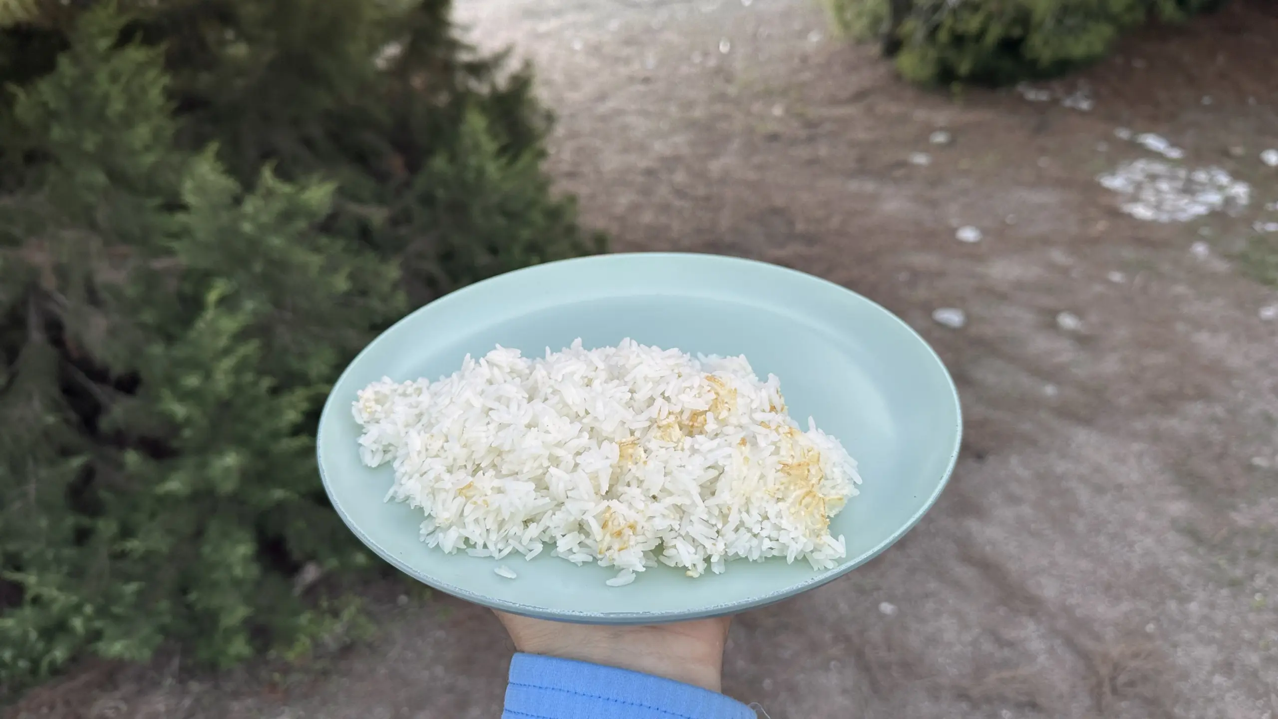 Dominikanischer Reis – das Geheimnis des knusprigen Bodens